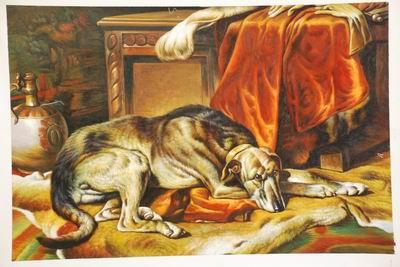 unknow artist Dog 031 oil painting image
